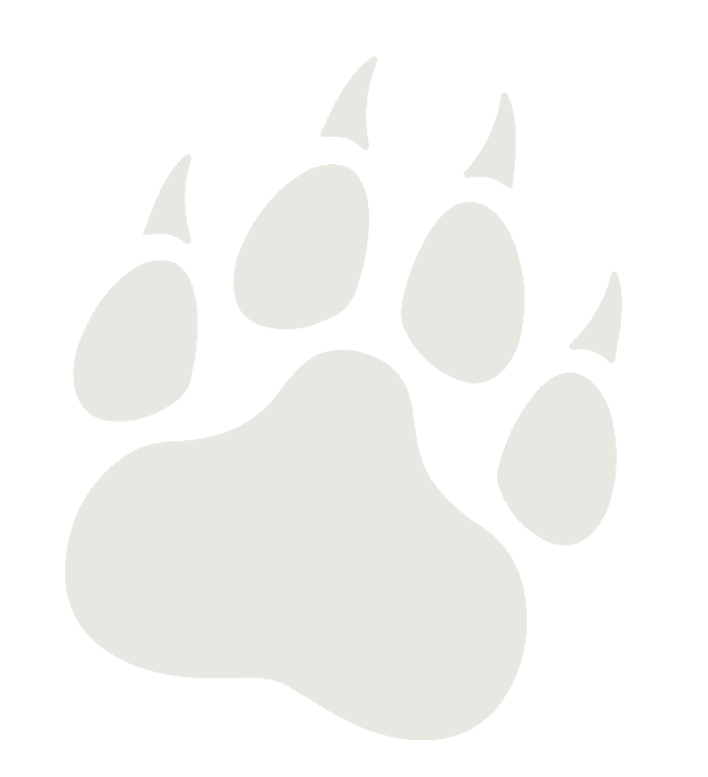 animalzoo5